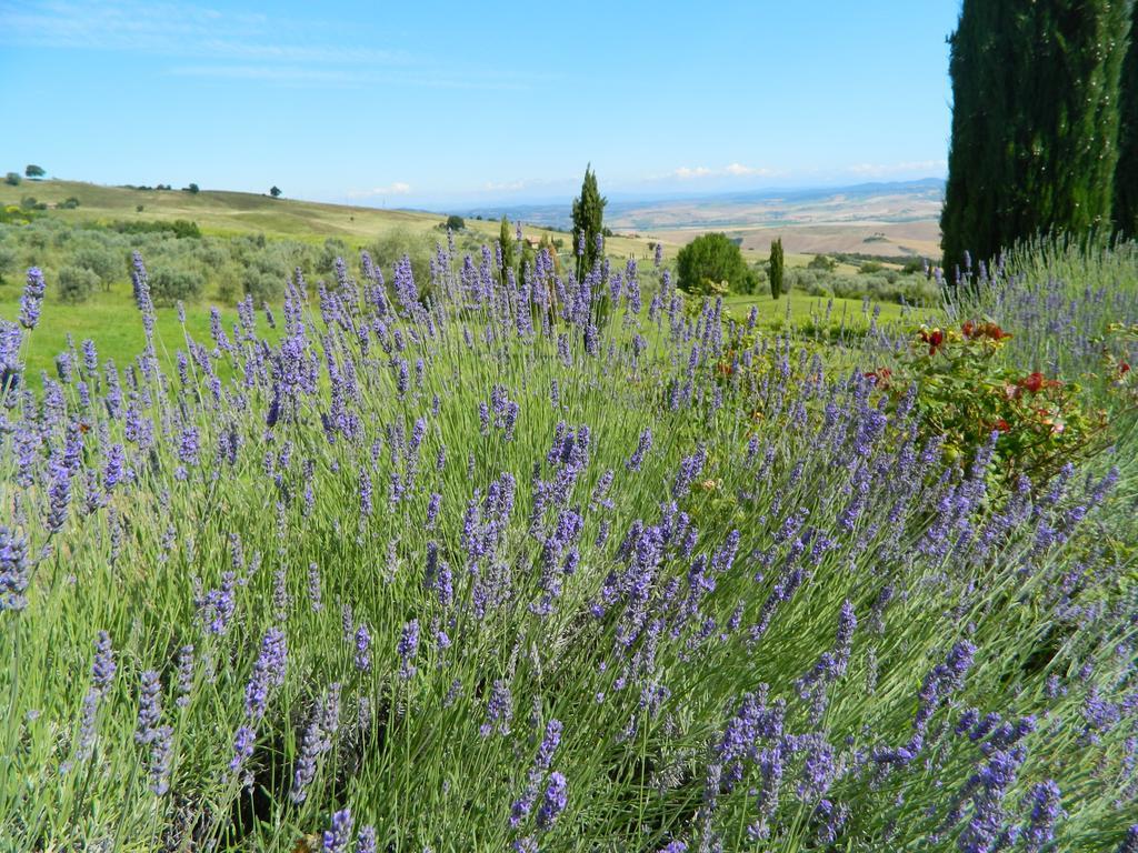 Le Rogheta Villa Campiglia dʼOrcia Exteriör bild