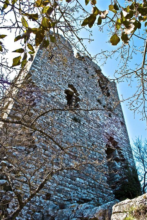 Le Rogheta Villa Campiglia dʼOrcia Exteriör bild