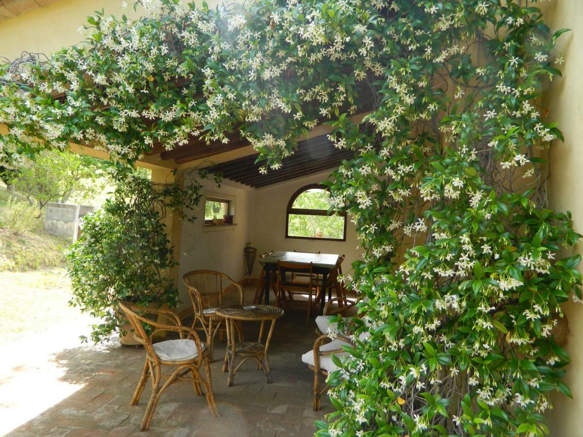 Le Rogheta Villa Campiglia dʼOrcia Exteriör bild